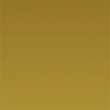 CM16 香檳金鏡面