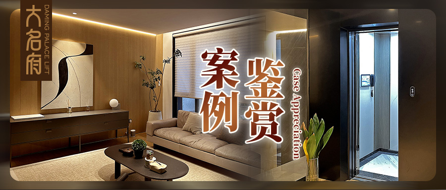 大名府家用電梯案例鑒賞 | 質(zhì)感生活×理性藝術(shù)，悅?cè)煌ㄐ械膴W秘