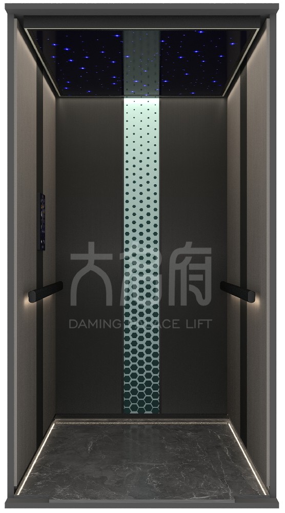 現(xiàn)代風(fēng)風(fēng)格別墅電梯C08