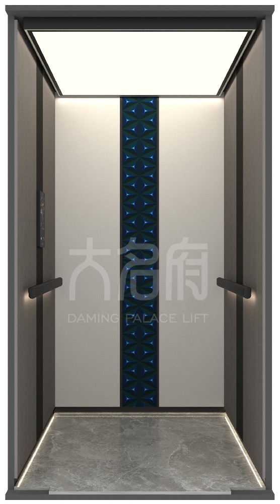 現(xiàn)代風(fēng)風(fēng)格別墅電梯C09