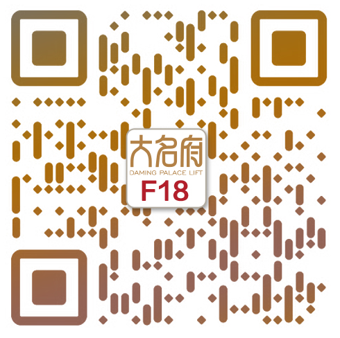 簡約風(fēng)別墅電梯F18