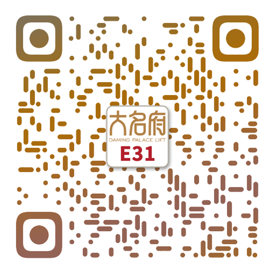 簡約風(fēng)別墅電梯E31