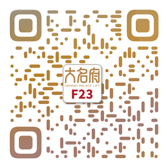 簡約風(fēng)別墅電梯F23