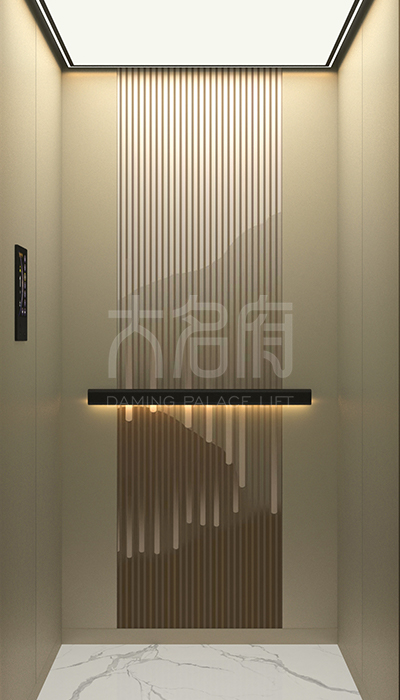 簡約風(fēng)別墅電梯F22