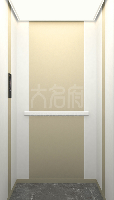 簡約風(fēng)別墅電梯F24